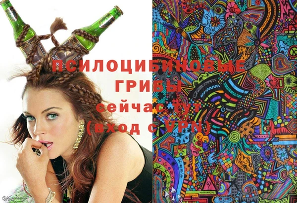 каннабис Арсеньев